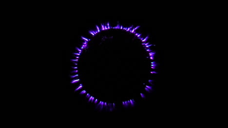 Kirlian-photography-of-cross-section-of-Kumquat-fruit-