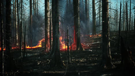 Incendio-Forestal-Con-árboles-Quemados-Después-De-Un-Incendio-Forestal