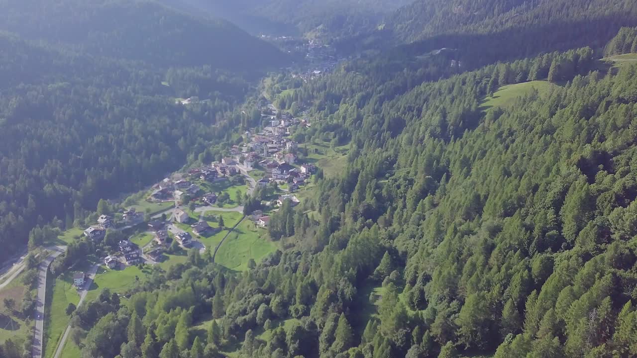 Drone over mountain village and pine trees moving left