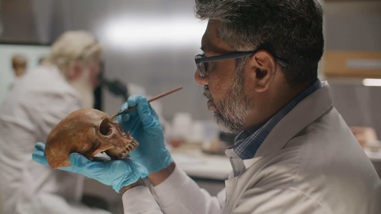 Experienced Scientist Cleaning Skull with Brush during Archaeological Research