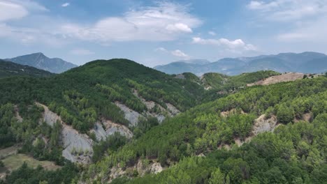 aerial panoramic shot of hillside with forest and mountains on the horizon with cloudy sky