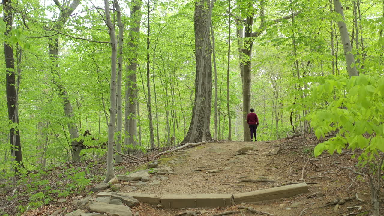 화창한 날 자연 산책로를 걷는 짧은 머리 여성의 낮은 각도 드론 샷