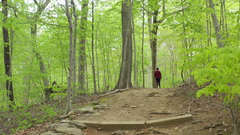 a low angle drone shot of a short haired woman walking up a nature trail on a sunny day