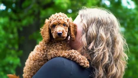 woman cuddling adorable brown poodle puppy outdoors in park