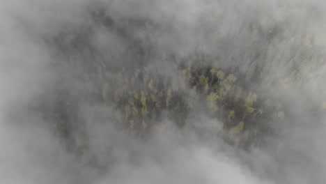 Serenidad-Dorada:-Sobre-Los-árboles-Pintados-De-Otoño-Bañados-Por-La-Niebla-En-El-Pequeño-Fuerte