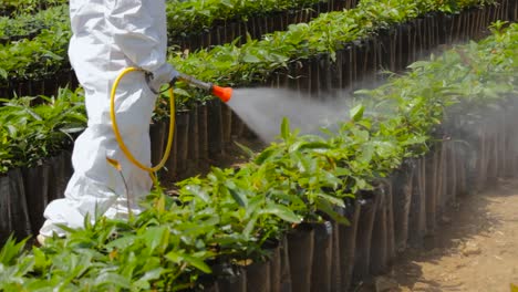 imágenes del proceso de aplicación de agroquímicos