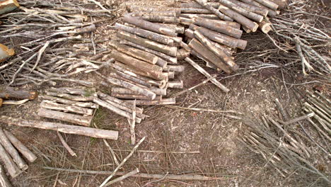 Verheerende-Luftaufnahme-Von-Holzhaufen,-Die-Durch-Die-Abholzung-In-Polen-Entstanden-Sind