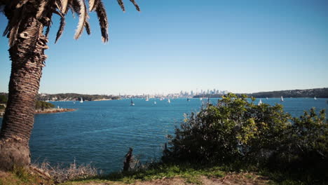 sydney horizonte watsons bay durante el día