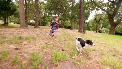 boy chasing his running puppy dog in park with ball