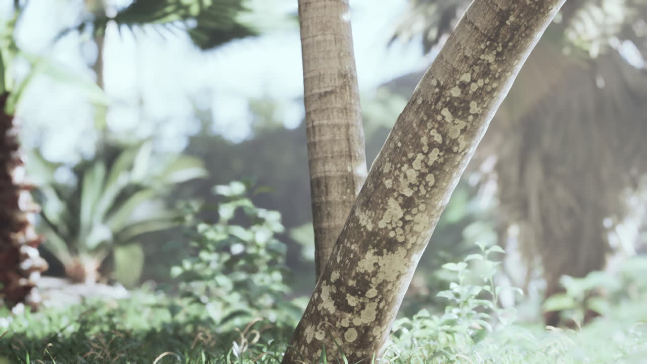열대 나무 줄기 클로즈업