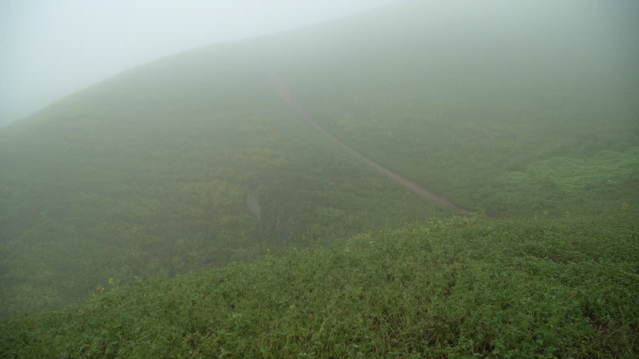 enfoque tirando revelando una colina de niebla en el fondo en lomas de manzano, pachacamac, lima, perú