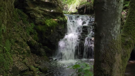 Cascada-En-Un-Bosque-En-Yorkshire,-Gorpley-Clough-Woods