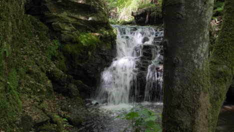 cascada en un bosque en yorkshire, gorpley clough woods