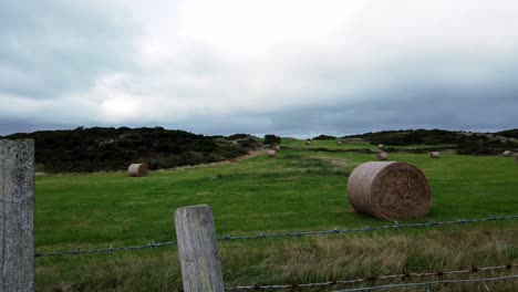 Countryside-grassy-meadow-with-rolled-straw-hay-bale-in-open-overcast-British-farmland