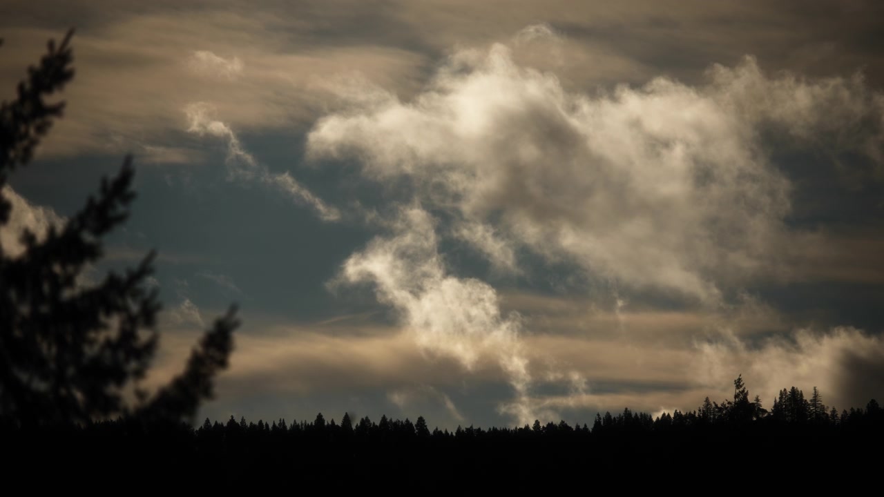 Dramatic clouds moving in the morning sky above tree line silhouette