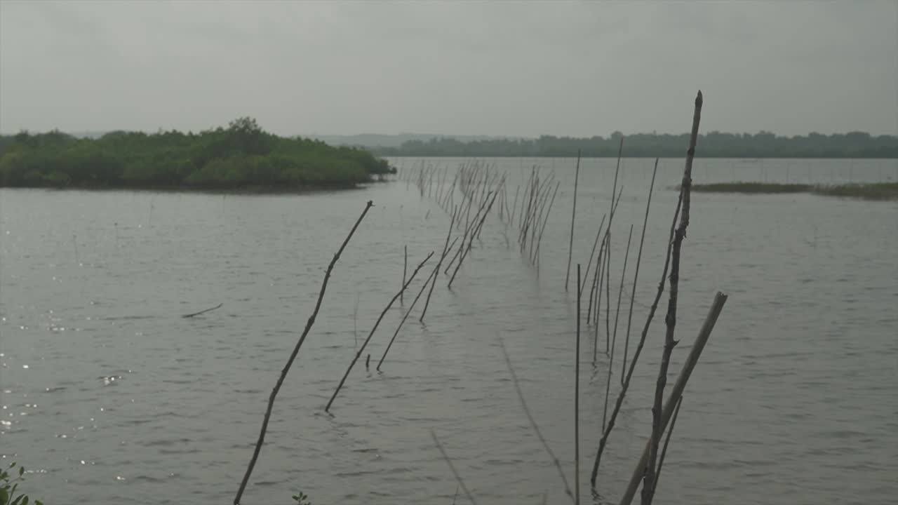 статичный снимок озера в центре местности с деревьями и растительностью вокруг него