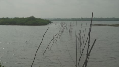 Statische-Aufnahme-Eines-Sees-Inmitten-Eines-Gebiets-Mit-Bäumen-Und-Vegetation-Drumherum