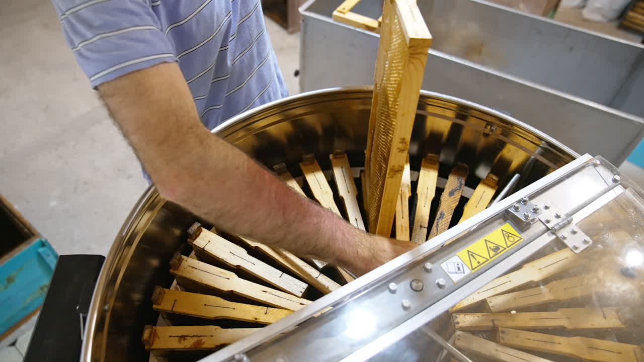 Man in T-shirt puts the honey frames into metal barrel. Apiarist turns the centrifuge inside the barrel to fill the empty places.