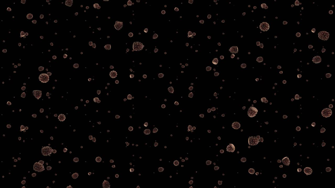 Falling Pine Cones and Snow on Black Background