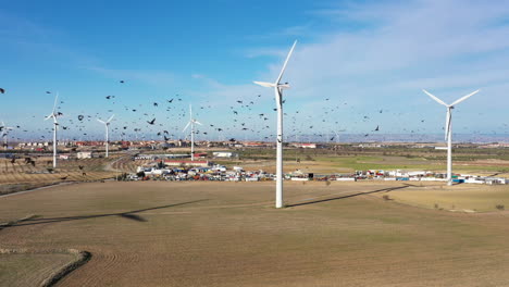 wind turbines spain with a flock of birds la muela junkyard in background