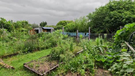 time-lapse of a garden from bare to lush greenery