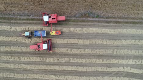 aerial top down of tractors harvest machines working together as a team in farm field plantation