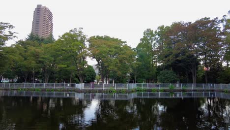 the beautiful park in tokyo