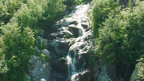 cascada de montaña en un bosque exuberante