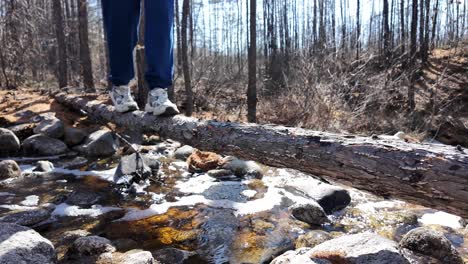 a person carefully walks across a log spanning a stream in the forest