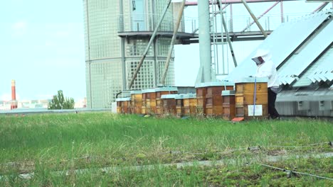 Slow-motion-of-a-beekeeper-walking-towards-the-hive-on-a-rooftop-in-a-city-on-a-summer-day