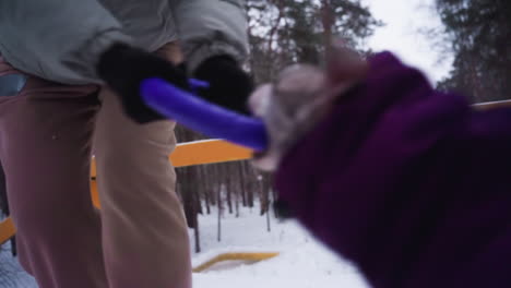 dog bites rubber ring during energetic tug-of-war game with person wearing winter gloves and jacket in snowy forest, expressing dynamic interaction, playfulness, and strength in cold outdoor setting
