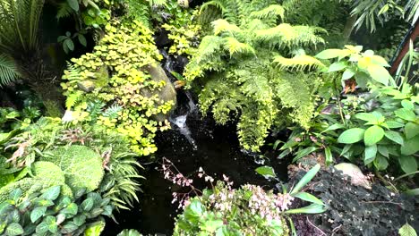 Tropical-Vegetation-And-Stream-In-Cloud-Forest-Contemporary-Greenhouse-In-Singapore