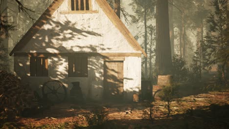 old wooden house in the autumn forest