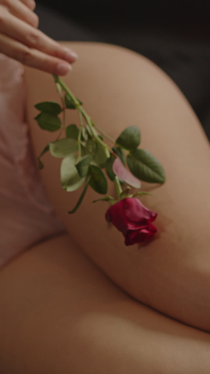 Magnifico primo piano verticale di una rosa rossa che accarezza delicatamente la gamba nuda di una bella donna che indossa biancheria intima raffinata a letto.