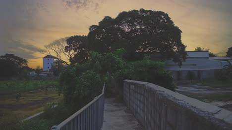 a mesmerizing sunset bathes a tree-lined pathway with warm light, emphasizing nature's tranquil beauty, creating a serene and picturesque ambiance.