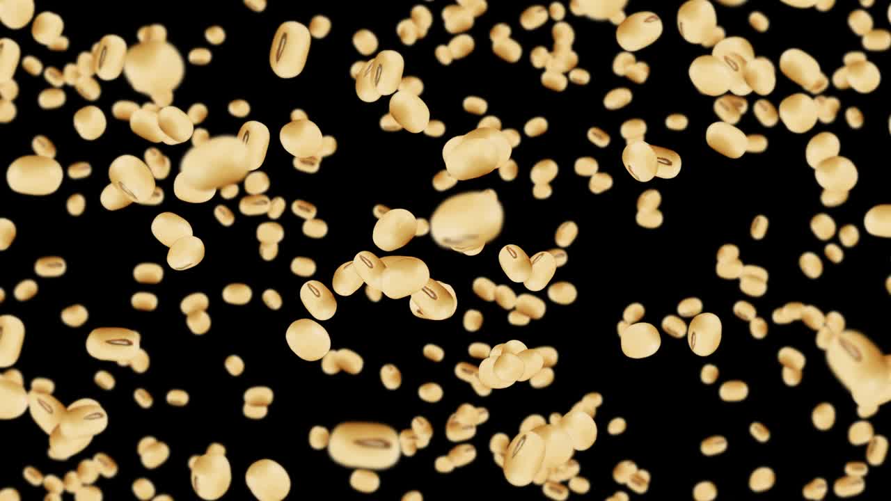 검은색 바탕에 많은 콩을 날아. 밝은 갈색 곡물. 콩과 콩. 건강한 음식. 회전하는 콩의 3d 루프 애니메이션.