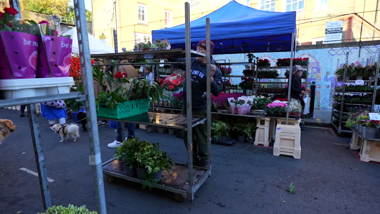 Workers setting up plant stalls at Columbia Road Flower Market on a Sunday morning in London