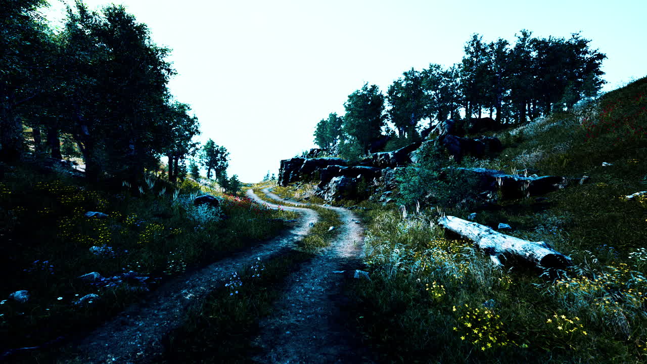 camino de campo en un bosque caducifolios en una mañana brumosa