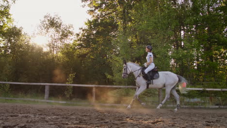 this is the best moment of horseback riding training for horsewomen. she demonstrates galloping skills with her horse in nature.