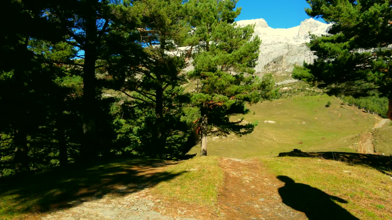 siguiendo a un hombre caminando por la carretera en las montañas españolas, pasando a través de los árboles, puedes ver las montañas y el cielo azul