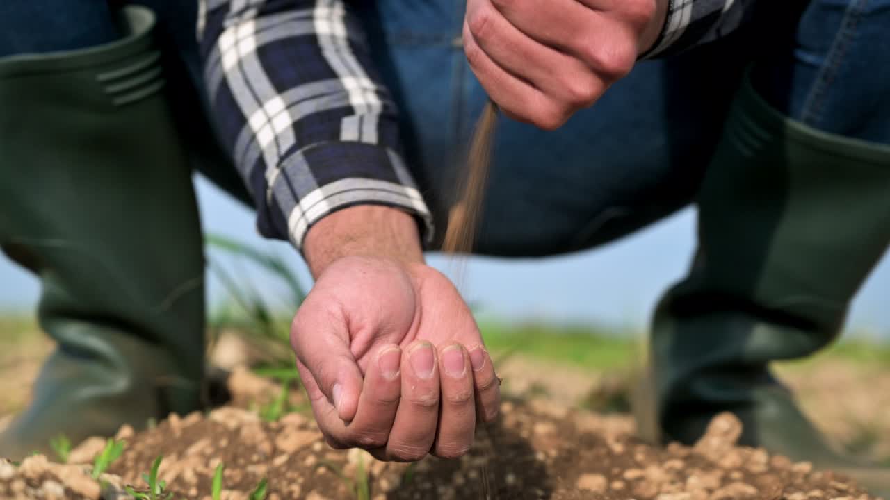 Male hands touching soil on the field. Expert hand of farmer checking soil health before growth a seed of vegetable or plant seedling. Business or ecology concept. High quality 4k footage