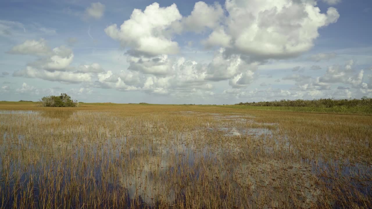 tomada de abajo de los impresionantes everglades de florida cerca de miami en el centro en un airboat con el agua tranquila del pantano reflejando el cielo y creando un espejismo rodeado de hierba alta en un día soleado