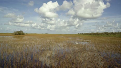 Tilt down shot of the stunning Florida everglades near Miami in the middle on an airboat with the calm swamp water reflecting the sky and creating a mirage surrounded by tall grass on a sunny day