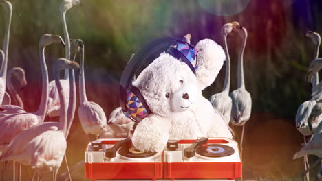 teddy bear dj with flamingos