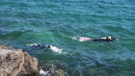 scuba divers swimming close to a rocky shoreline with waves crashing on the rocks