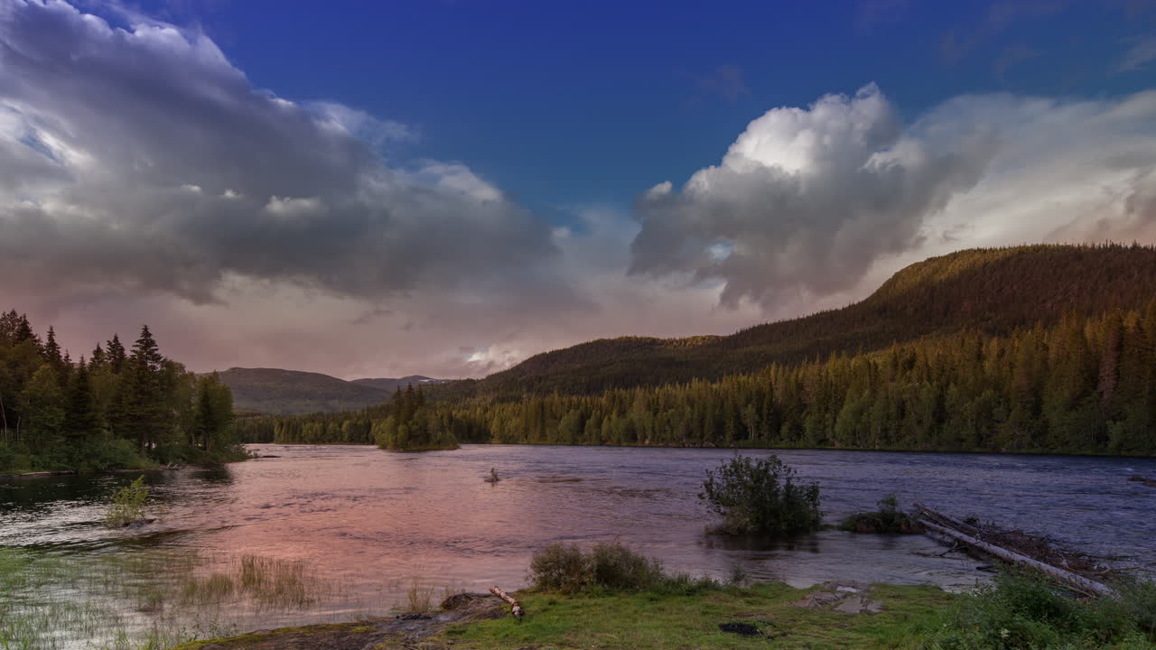 noruega rápidos helecho 4k 08