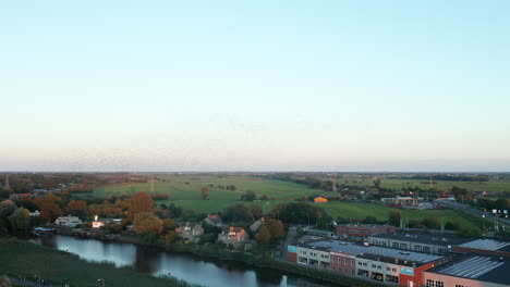 stormo di rondini che volano su schemi coordinati nel cielo sotto la zona rurale di gouda, olanda meridionale