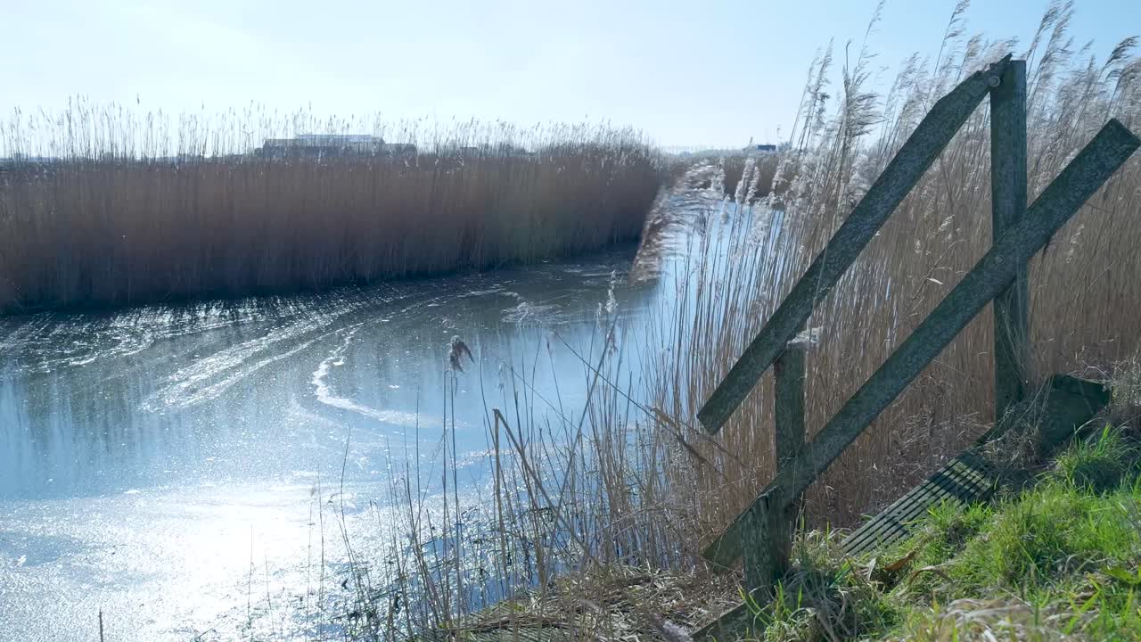 Frossen kanal omkranset af svajende siv på en solrig vinterdag