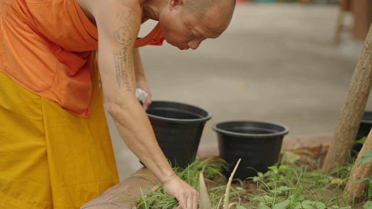 A Buddhist Monk Tending to Plants Outdoors