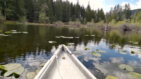 canoeing on lake with lilies and reflective blue skies